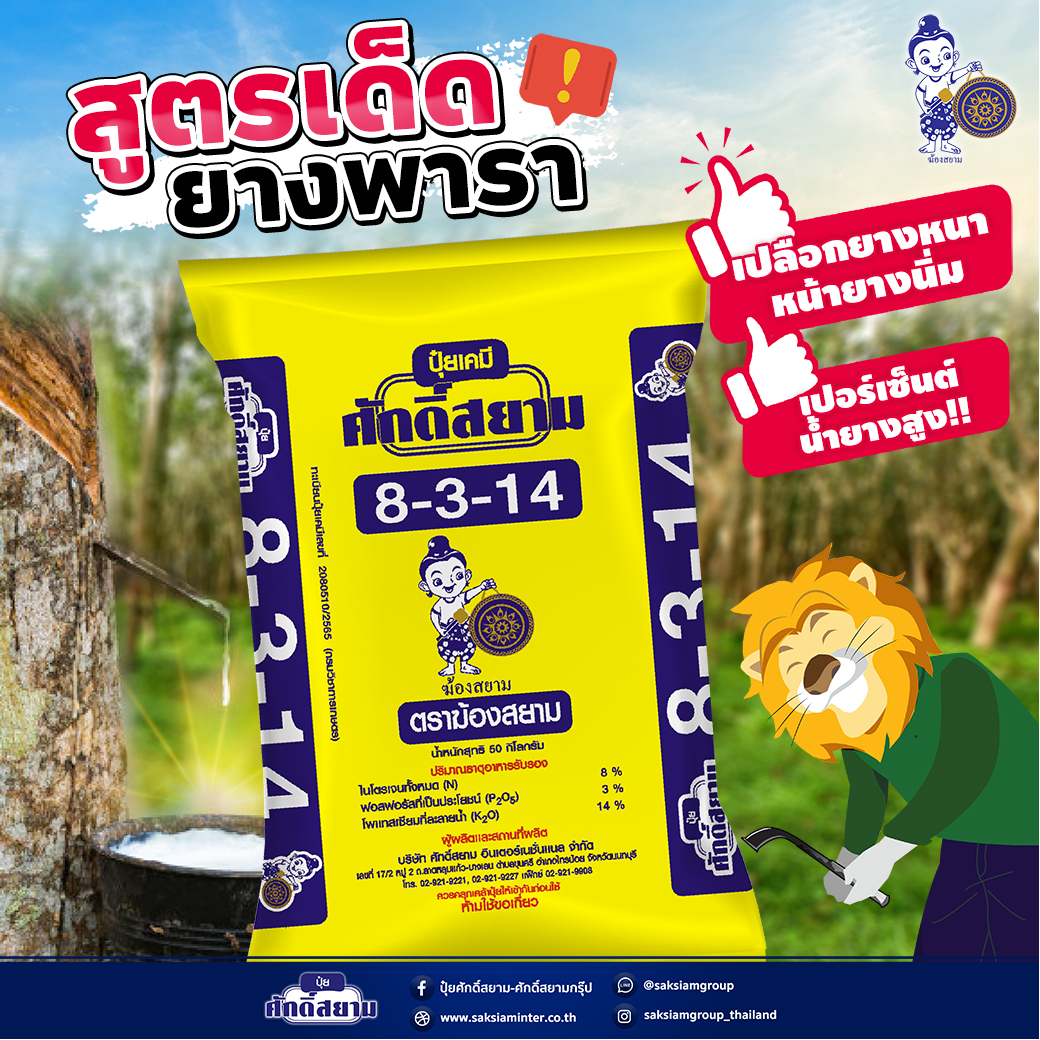 My Image 30