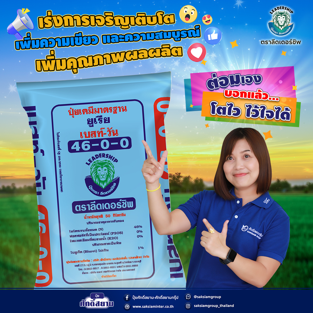 My Image 28